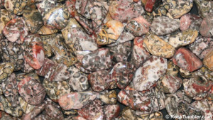 leopard-skin-jasper